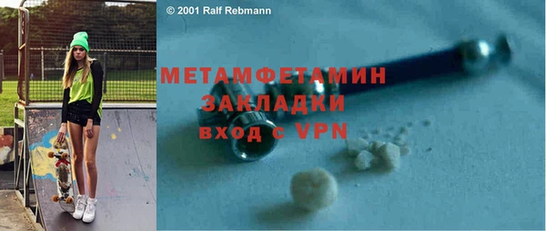 прущие грибы Богданович