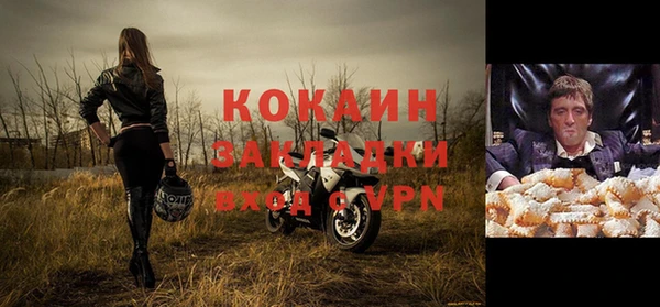 прущие грибы Богданович