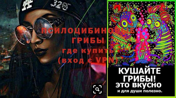прущие грибы Богданович