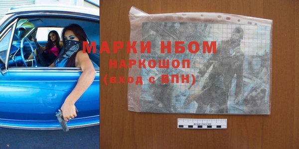 прущие грибы Богданович